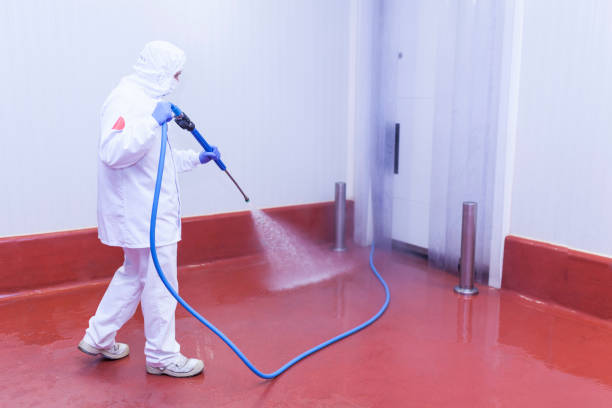 Best Building Exterior Washing  in Chinook, MT