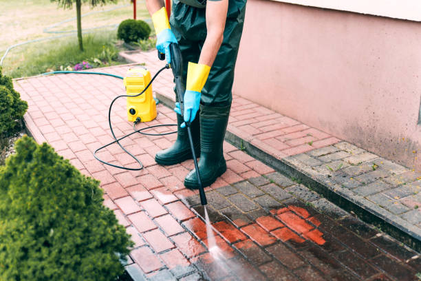 Best Dumpster Area Cleaning  in Chinook, MT