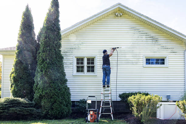 Best Solar Panel Cleaning  in Chinook, MT